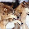 RenamedUser_24549144