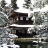 RenamedUser_24810380