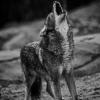 RenamedUser_27890435