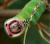RenamedUser_209728