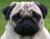 RenamedUser_2198412