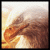 white_eagle