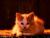 trant_2
