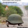 Karl_der_Schreckliche