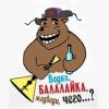 Bear_with_balalaika