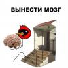 RenamedUser_2658635