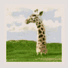 RenamedUser_2741326