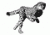 RenamedUser_2804492