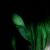 RenamedUser_2834883