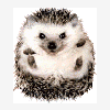 Kykylembo