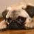 RenamedUser_3016566