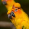 RenamedUser_3028182