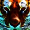 RenamedUser_3045630