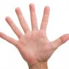 sixfinger