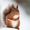 RenamedUser_318146