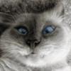 mr_PER0_