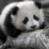 FUN2MAS