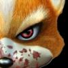 WildFoxs