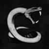 Serpentvm
