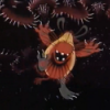 ShtusaKutusha