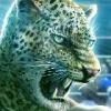 RenamedUser_4112520