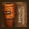 Sober_Bear