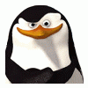 3metra_HaD_ypoBHeM_Dniwa