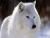 RenamedUser_4516525