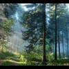 RenamedUser_4606554