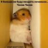 tvtku_vasiliy
