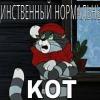 KOT__MATROCKIN