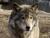 RenamedUser_474584