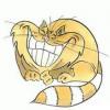 Cheeseman