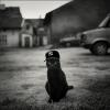 Vserovno