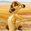 8timon
