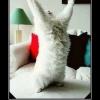 RenamedUser_5096112