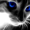 RenamedUser_5171726