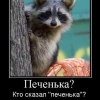 Pozitivniy_Enot
