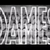 I_am_a_Pitbull