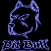 P0LU4YAETSYA