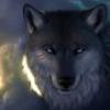 ShadowWolfX