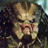 _PredatorXD_