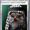 _6uJIeT_B_aHraP__