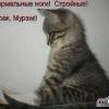 CherTenOk_B_JuBkE