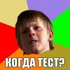 snaryad_43
