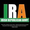 Irish_terr