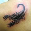 maks_5847