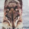 RenamedUser_6023484