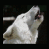 RenamedUser_4446_