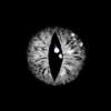 Grey_Eye